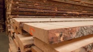 WM3500 Sawmill Producing Quality Timber in Czech Republic